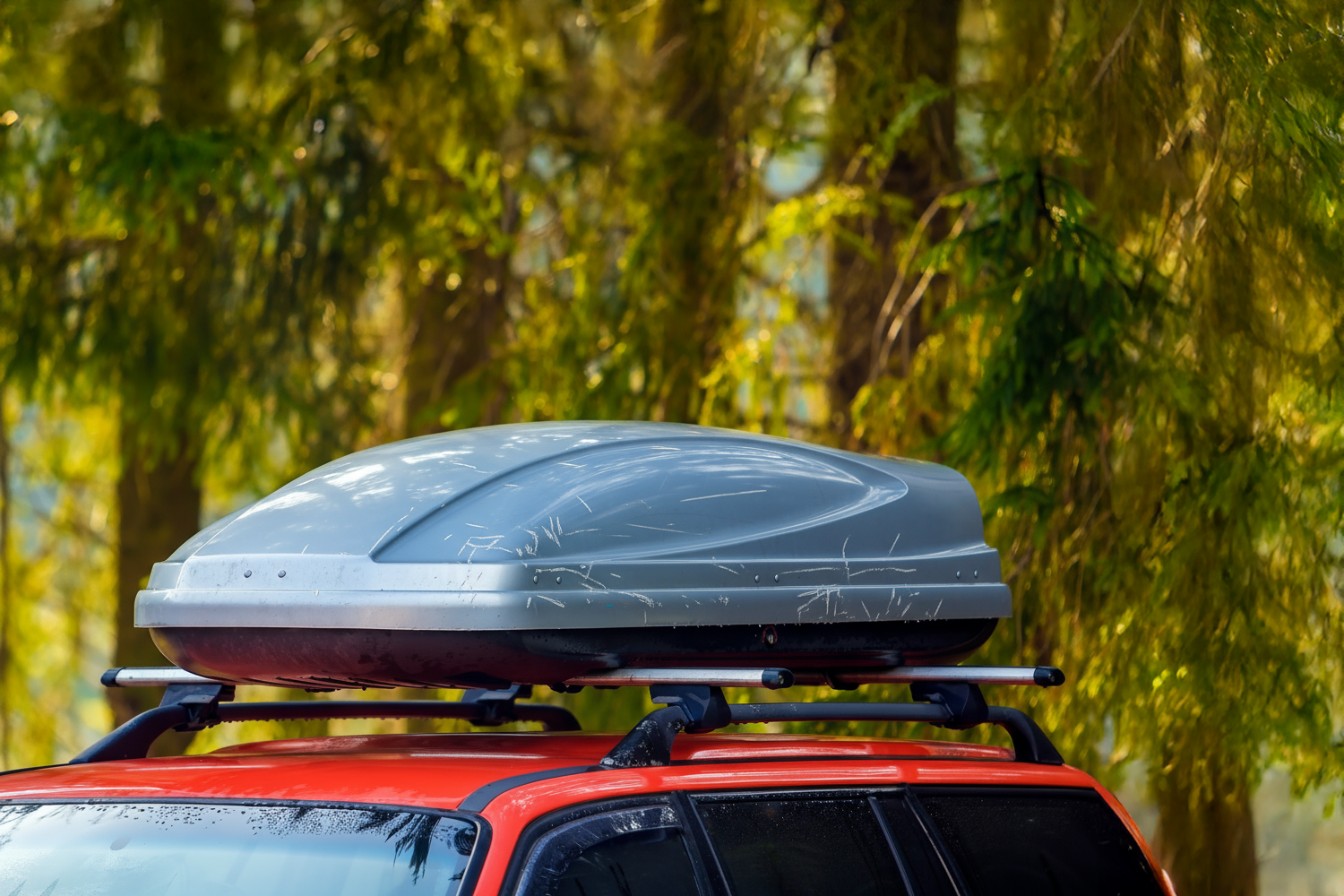 Auf dem Dach eines roten Autos ist eine graue Dachbox montiert, die mit Kiefernnadeln und Wasser bedeckt ist. Im Hintergrund ist ein Nadelwald zu sehen.