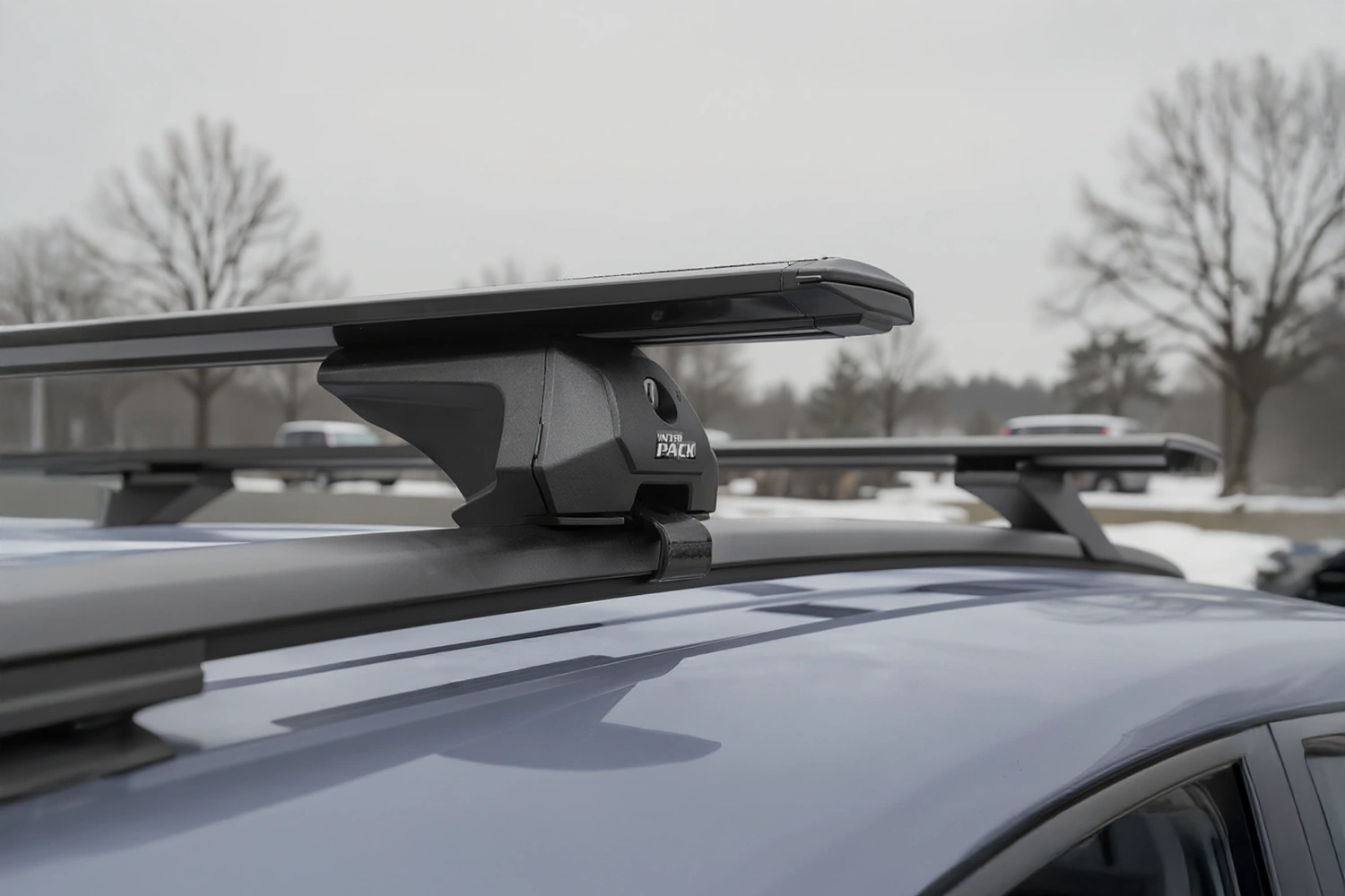 Auf dem Dach ist ein schwarzer Dachgepäckträger montiert. Das „Inter Pack“-Logo prangt an der Seite des Trägers. Das Autodach ist grau und mit einer klassischen Dachreling versehen. Im Hintergrund ist eine winterliche Parklandschaft zu sehen.