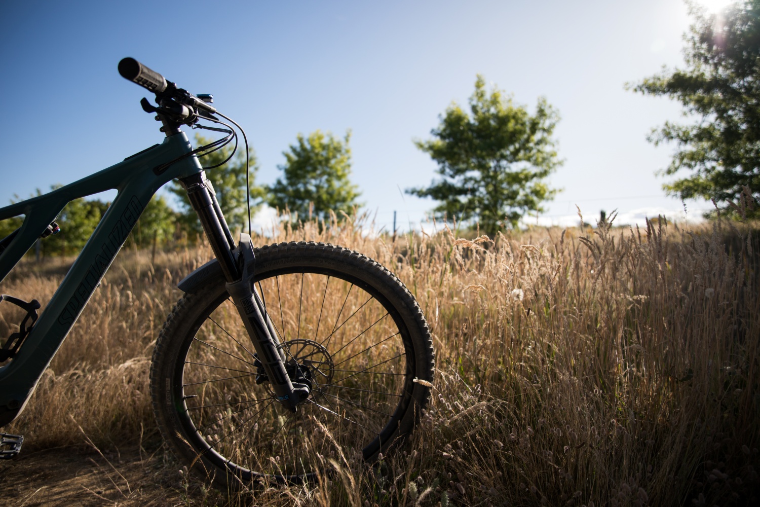 Carbon-Fahrrad Fahrradträger - Wie transportiert man ein Bike mit empfindlichem Rahmen?