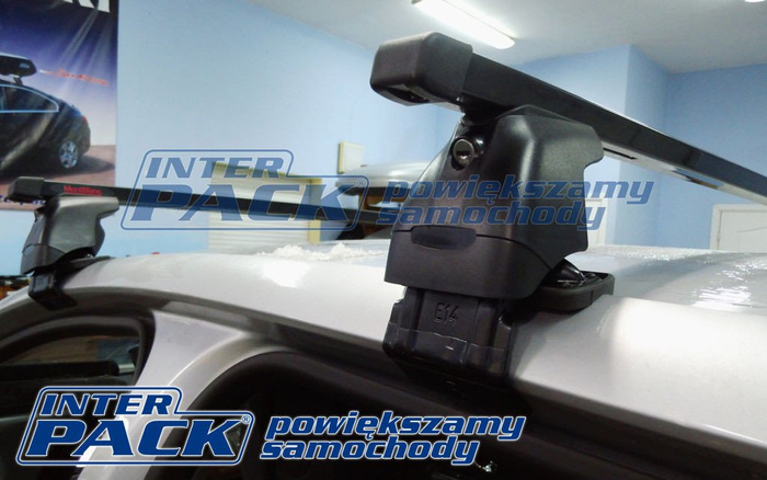 Mont Blanc AMC 5022 Stahldachträger