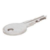 Atera-Schlüssel Nr. 118 (1 Stück)