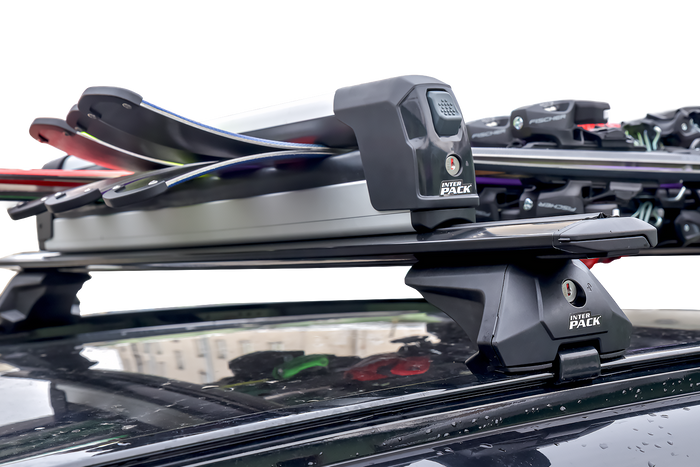 Inter Pack Frostline 6 – ausziehbarer Aluminiumhalter für 6 Paar Ski oder 4 Snowboards