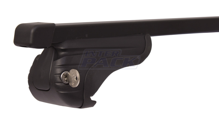 Mont Blanc AMC 5416 Stahldachträger