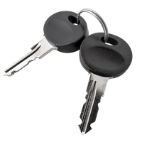 Traxer-Schlüssel 2023 (2 Stück)