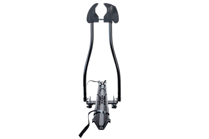 Inter Pack Rosa - Rahmenfahrradträger