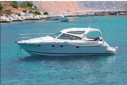 Elektrische Tauchpumpe LAMPA 12V 30L/min