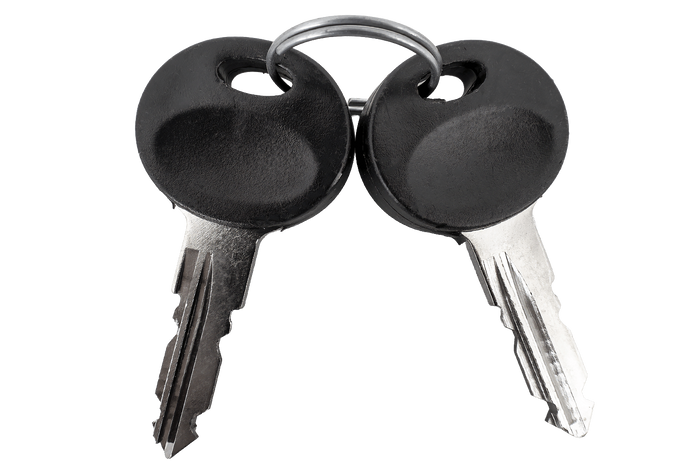 Traxer-Schlüssel 2165 (2 Stück)