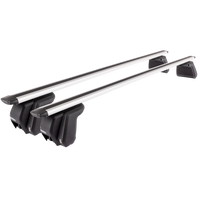 Mont Blanc Furka D+C Dachgepäckträger silber