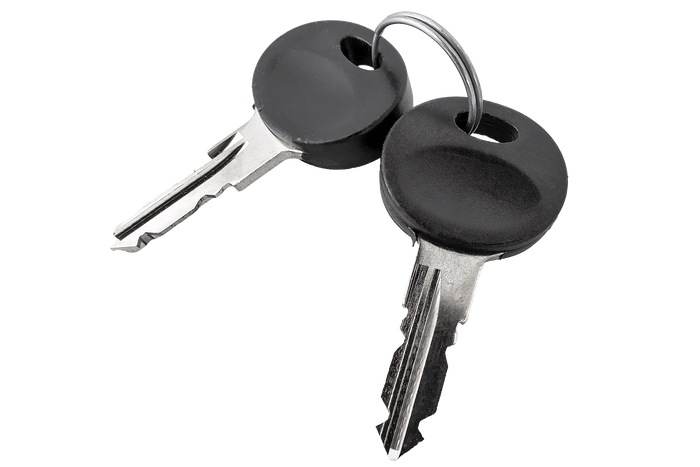 Traxer-Schlüssel 2171 (2 Stück)