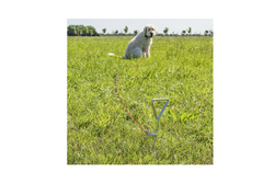 ProPlus 361857 Hundeanbindepfosten mit Stahlseil 4,5 m