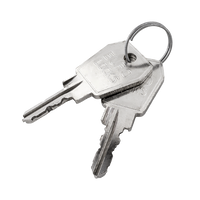 Carver-Schlüssel 25021 (2 Stück)